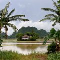 Стоявшие посреди полей дома превратились в острова, окруженные клетчатыми рисовыми озерами.