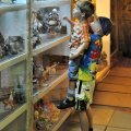 Малайцы вообще любят организовывать различные музеи, достаточно вспомнить Музей кошек в Кучинге, который я уже демонстрировал любознательным читателям. Что касается данной экспозиции, то мои детеныши были в полном восторге.