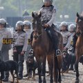 Помятуя участь генерала Сухарто, нынешний президент Индонезии, похоже, уделяет немалое внимание полицейским силам своей многолюдной страны. Сытые полицейские - опора азиатской демократии.
            