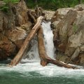 Вода дико прозрачная, рыба пугливая.
            