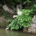 Большую часть времени, порнографировал я различные природные красоты.
            