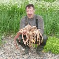 По окрестностям шастают крабы различных сортов.
            