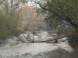 Река Шкотовка. Собственно тут и закрывается сезон катамаранщиков и прочих водоплавающих.