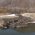 
              Воды в Арсеньевке не сказать чтобы много.&nbsp;
            