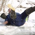 
              Иногда только, бросив пилу, беспомощно дрыгал в воздухе задними лапками.&nbsp;
            
