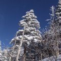 Вот такое вот синее небо.
            