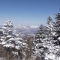Ну разве ради этого не стоило кропаль попыхтеть с рюкзаком в горку?
            
