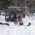 
              Запепелацились на ночевку в ельнике.
            