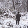 
      Однако тропы весьма завалены елкапалками. Ночью выпал свежий снег, присыпав царящее в лесу безобразие.
    