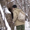 
      Тук-тук, это кто в этой дырке живет?
    