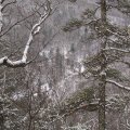
      Вид на ключ Полозова с одной из окрестных вершин.
    
