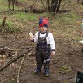 
      Дождь покапал и прошел... Теперь можно и подкрепиться... Корочкой хлеба.
    