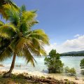 Весьма сложно описывать остров, примечательный, главным образом, пляжами и пальмами.
